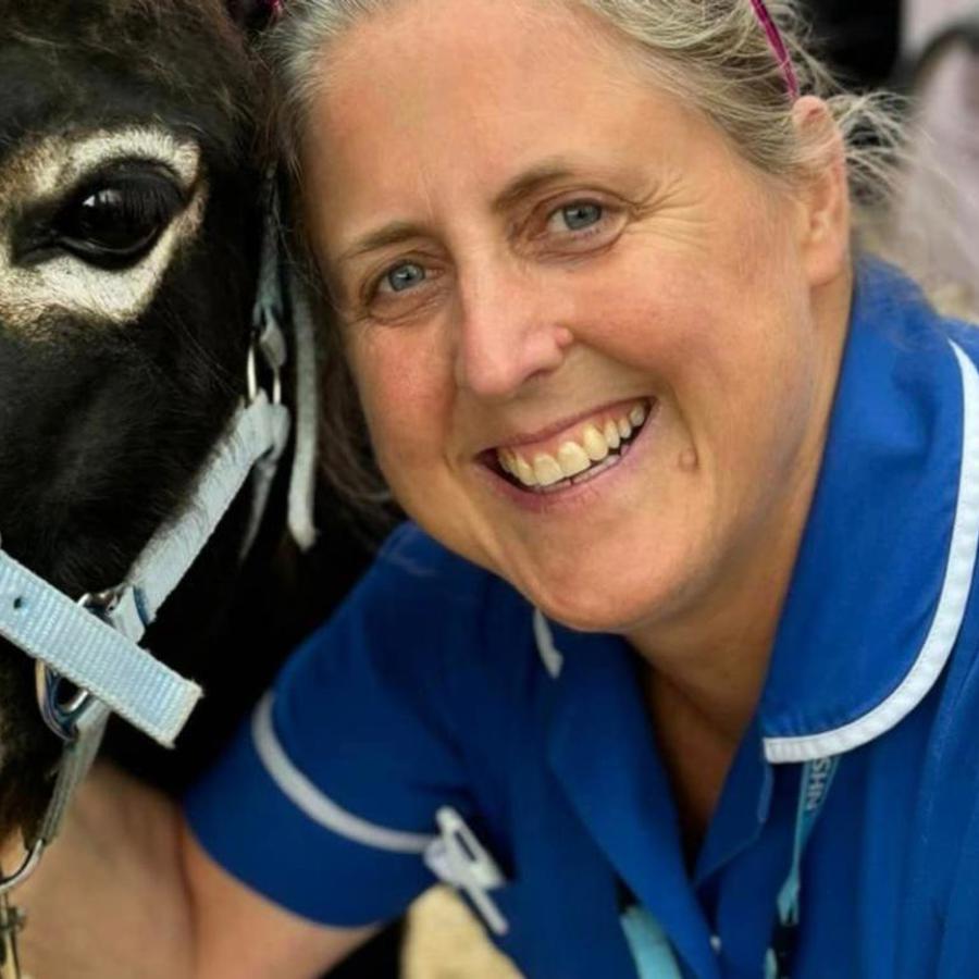Nurse With Donkey