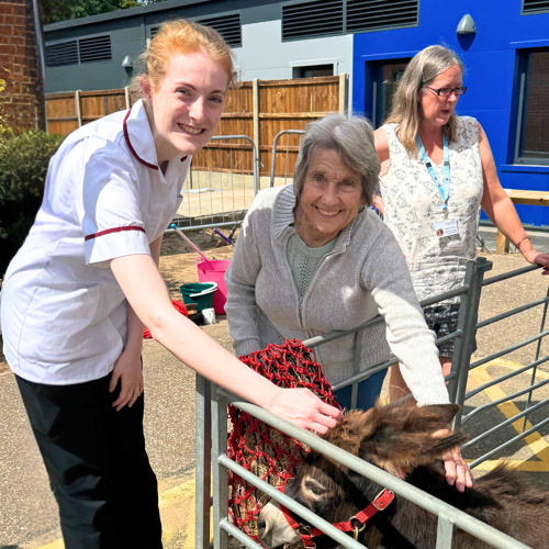 nurse and elderly patient petting a donkey outside Norfolk Community hospital.