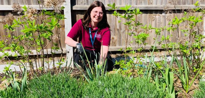 Volunteer Gardening