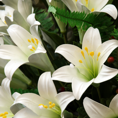 white lilies
