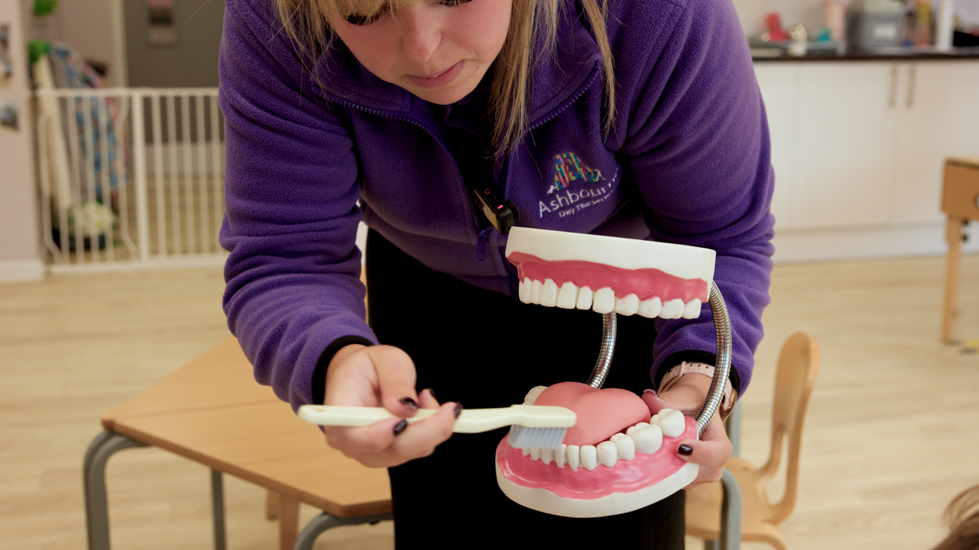 Person in a purple fleece demonstrates proper toothbrushing technique using a large model of teeth and a toothbrush in a classroom or nursery setting. The oversized dental model is open to show the teeth and gums as the toothbrush is positioned on the lower teeth. Tables, chairs, and a safety gate are visible in the background.