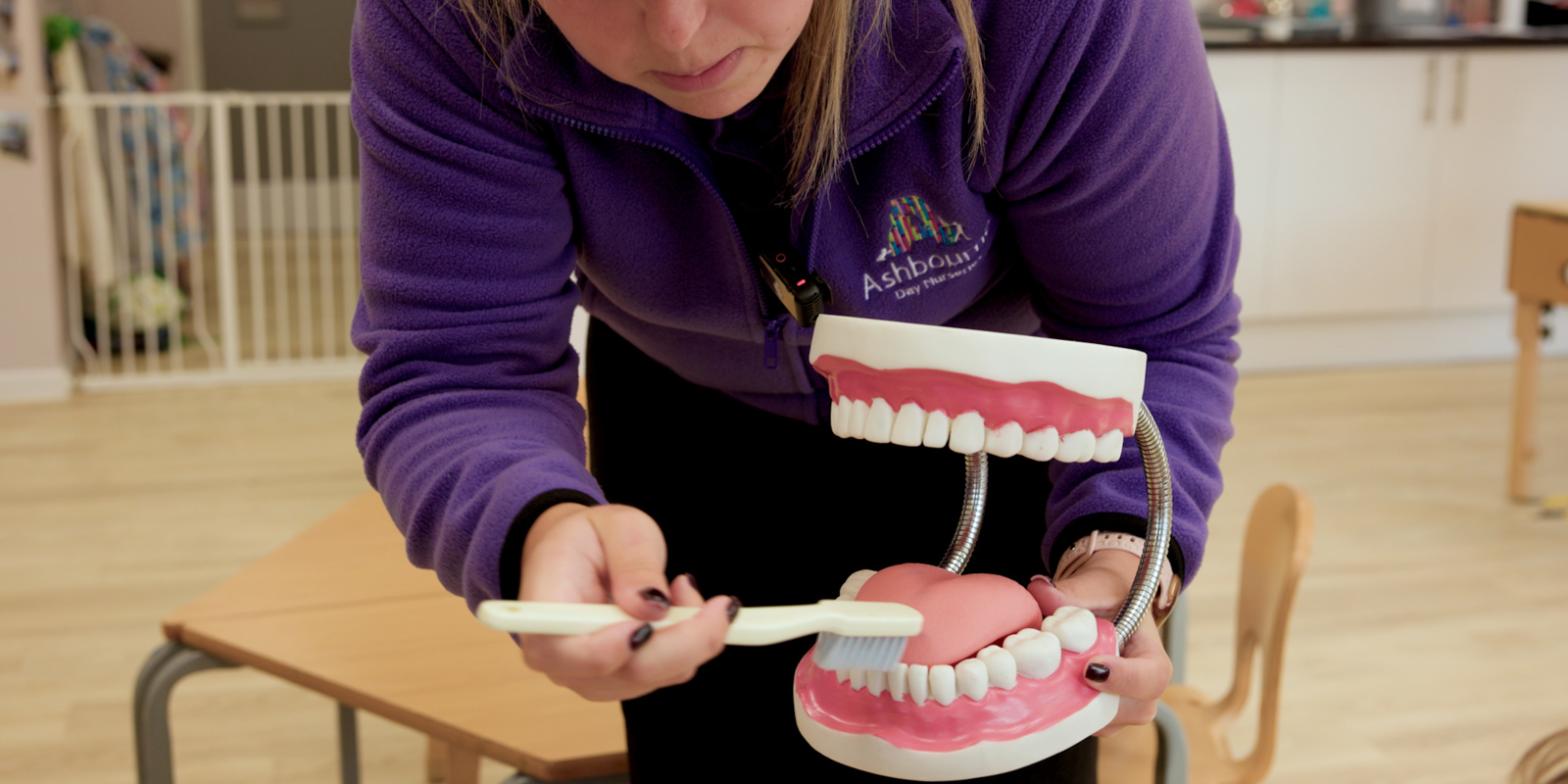 Person in a purple fleece demonstrates proper toothbrushing technique using a large model of teeth and a toothbrush in a classroom or nursery setting. The oversized dental model is open to show the teeth and gums as the toothbrush is positioned on the lower teeth. Tables, chairs, and a safety gate are visible in the background.