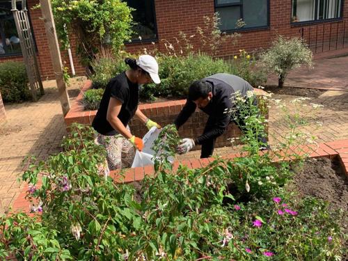 volunteers gardening at Priscilla Bacon Lodge Hospice